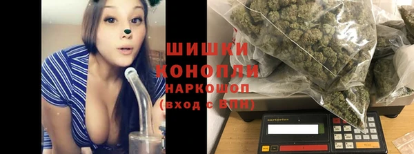 мдпв Богородск