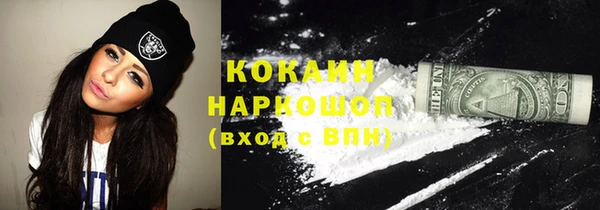 стафф Богданович