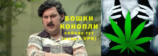 мдпв Богородск