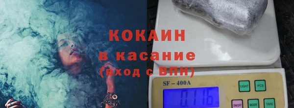 стафф Богданович