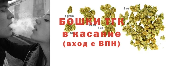 стафф Богданович