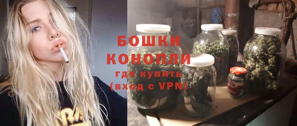 стафф Богданович