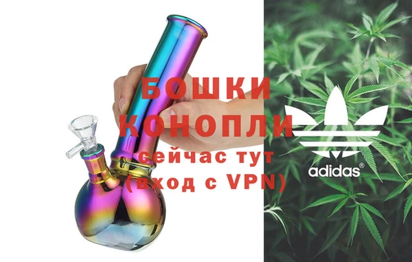 мдпв Богородск