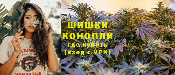 мдпв Богородск