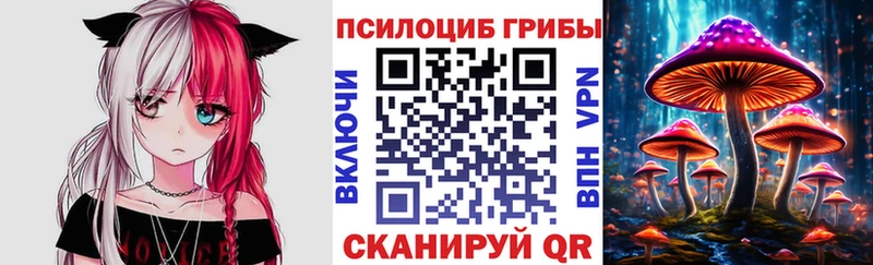 Купить  Бодайбо  Псилоцибиновые грибы мицелий 
