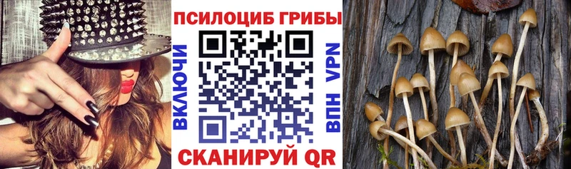 Псилоцибиновые грибы ЛСД Бодайбо